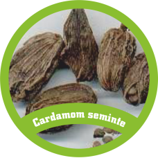 Cardomom Seminte